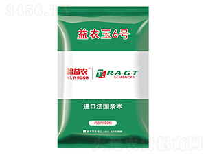 益農玉6號-玉米種子-益農種業