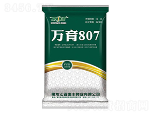 萬玉807-玉米種子-惠豐源