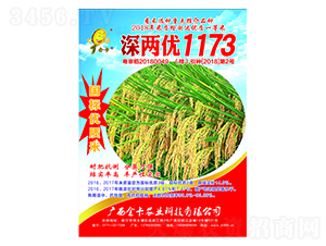 Ƀ1173-ˮN-rI