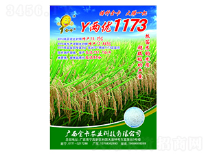 YɃ1173-ˮN-rI