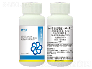 24-|ùᣨA4+A7--r_