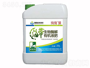 海帶生物酶解有機液肥-純緣藻-農技小院