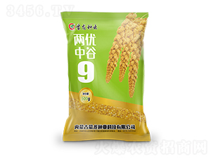 Ƀй9-ӷN-NI
