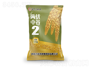 Ƀй2-ӷN-NI