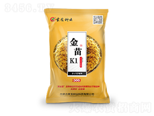 K1S-ӷN-NI