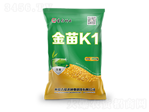 K1-ӷN-NI