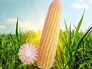 x76̖-׷N-NI