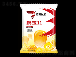 鵬玉11-玉米種子-大鵬農業
