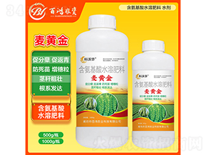 麥黃金-百鴻農業