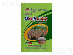 A61168-Aϻ-rNI