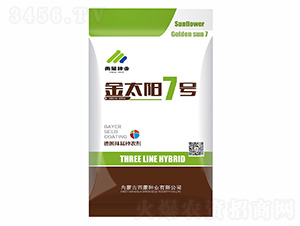 金太陽7號-西蒙種業(yè)