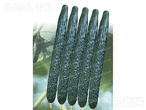 ¸C57S-SϷN-¸߷NI