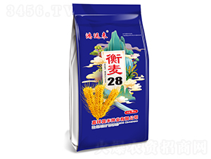 28СNӣ{-\-̷NI