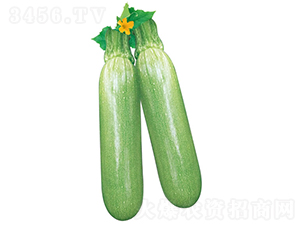 G-JN-clʢ