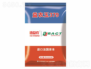 益農玉379-金杉種業