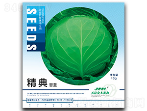 精典-甘藍種子-金木茂和