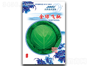 金綠飛馳-甘藍(lán)種子-金木茂和