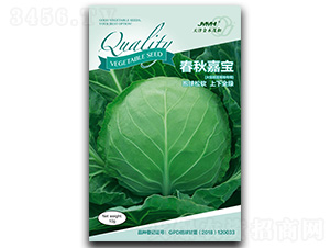 春秋嘉寶-甘藍種子-金木茂和