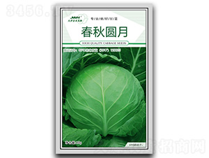 春秋圓月-甘藍種子-金木茂和