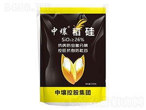 稻硅-中壤