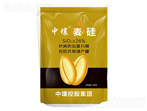 麥硅-中壤