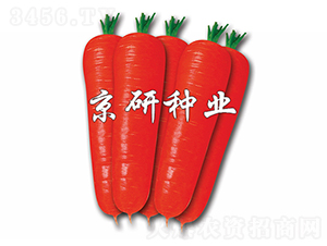 tо90-}N-зNI