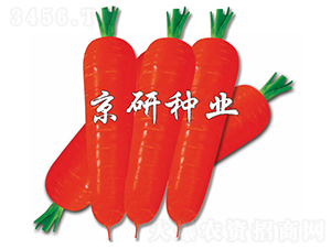 tо100-}N-зNI