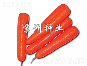 tо120-}N-зNI