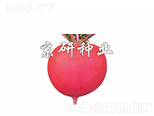 t4̖-}N-зNI