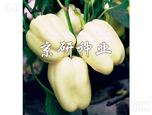 2̖-N-зNI