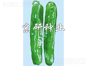 3̖-N-зNI