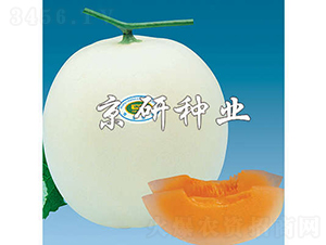 2̖-ϷN-зNI