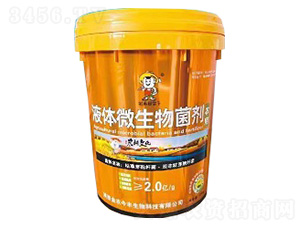 液體微生物菌劑-金農今豐