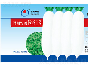 ѩR618-}N-NI