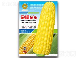 SŴŴ606-׷N-ANI