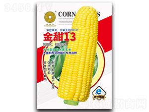 13-׷N-ANI