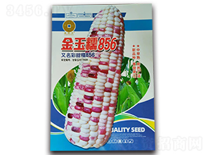 Ŵ856-׷N-ANI