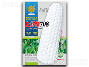 Ŵ708-׷N-ANI