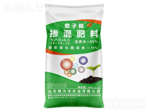 26-12-12-ӼZ-Z鱾rI