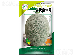 吉優蜜16號-甜瓜種子-吉豐種業