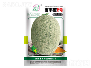 吉豐蜜2號-甜瓜種子-吉豐種業(yè)