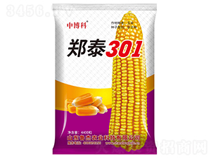 ̩301׷N-в-rI