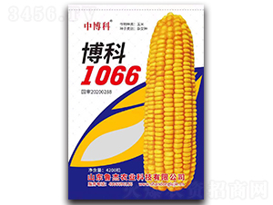 1066׷N-в-rI