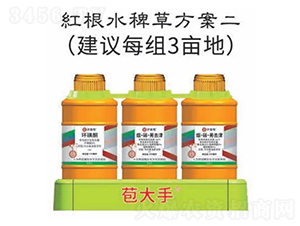 tˮ޲ݷ--nѻW