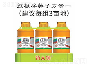 tݬӷ-N-nѻW