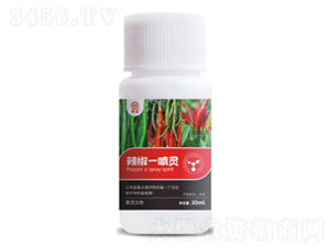 辣椒一噴靈-果茂生物