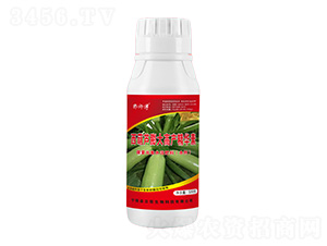 西葫蘆膨大高產精華素-郭師傅-立信生物