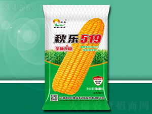 519-׷N-NI