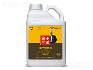 甄中醫(yī)-根基地強力生根防病增產(chǎn)抑蟲害