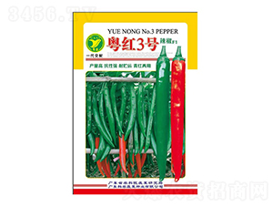 粵紅3號辣椒-辣椒種子-天禾農資